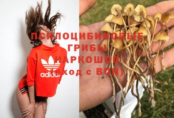 герыч Богородск