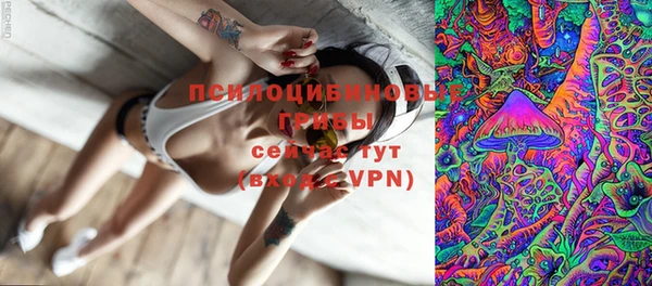 mix Богородицк