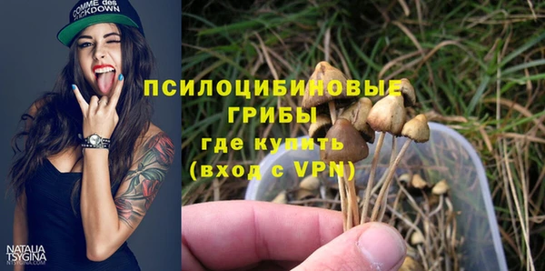 гашик Бронницы
