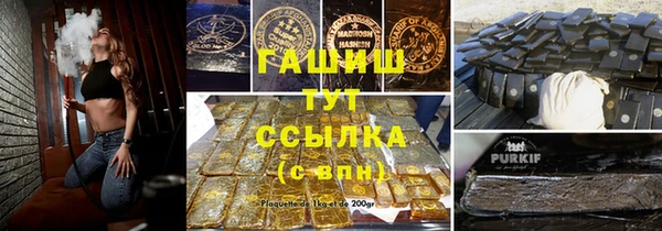 индика Богданович