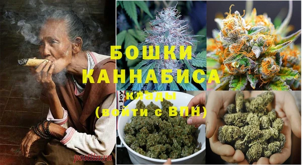 шишки Нефтегорск