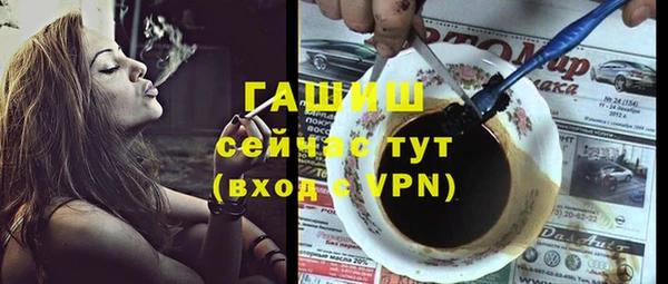 индика Богданович