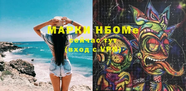 индика Богданович