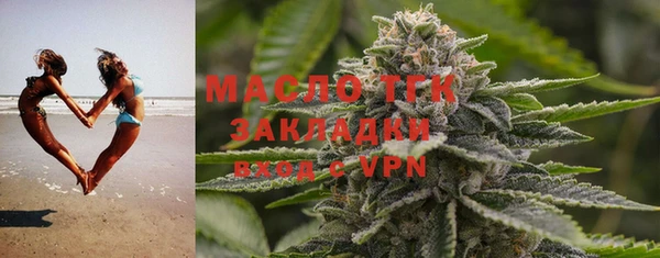 индика Богданович