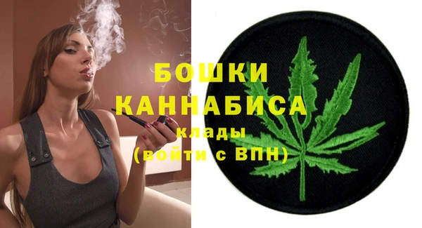 индика Богданович