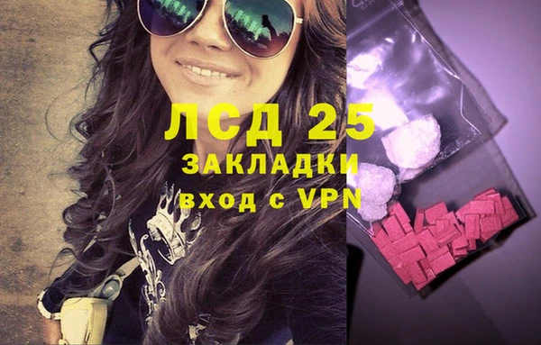 индика Богданович